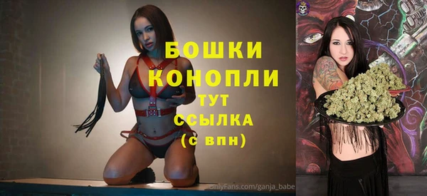 винт Карпинск