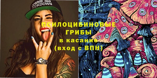 гидра Кинешма