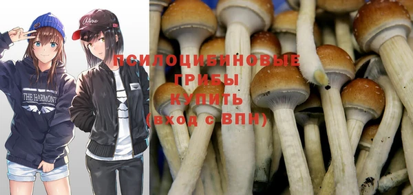 винт Карпинск